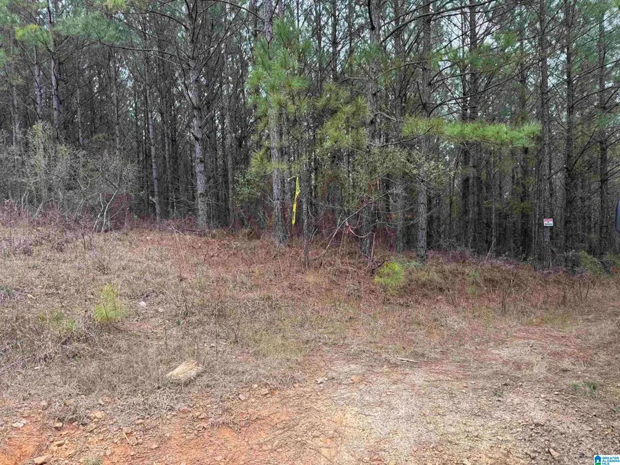752 HAVEN FARM DRIVE, Columbiana, AL 35051 - #3