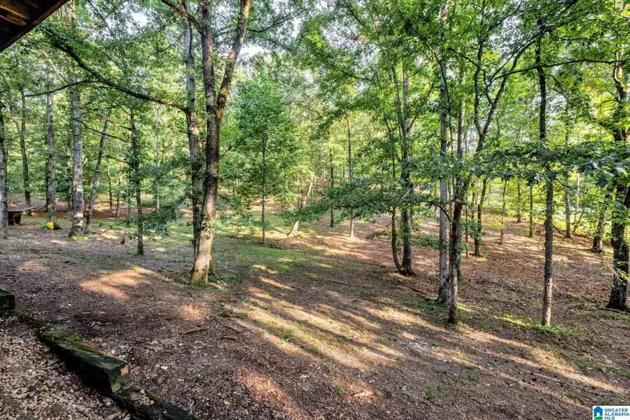 2505 HIGHWAY 93, Helena, AL 35080 - #3