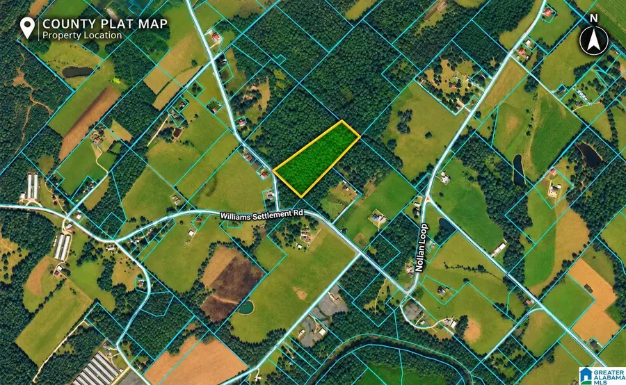 0 LITTLE ROAD, Blountsville, AL 35031 - #2