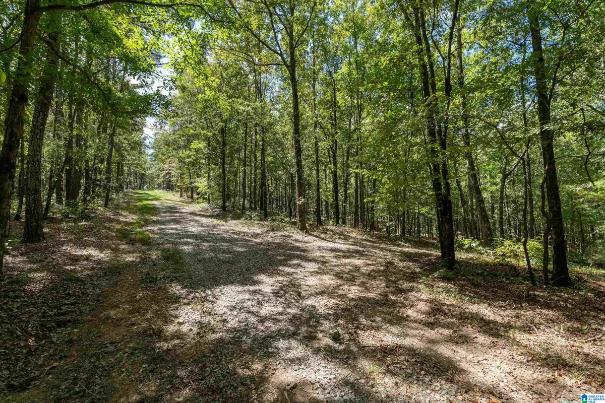 1385 COUNTY ROAD 467, Vincent, AL 35178 - #1