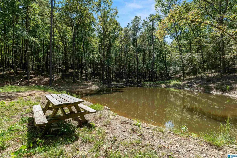 1385 COUNTY ROAD 467, Vincent, AL 35178 - #2