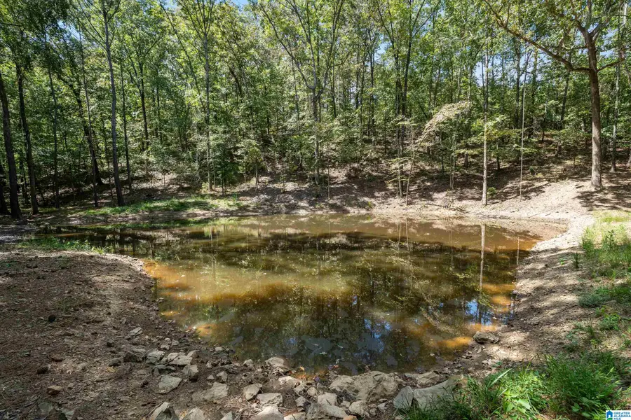1385 COUNTY ROAD 467, Vincent, AL 35178 - #3