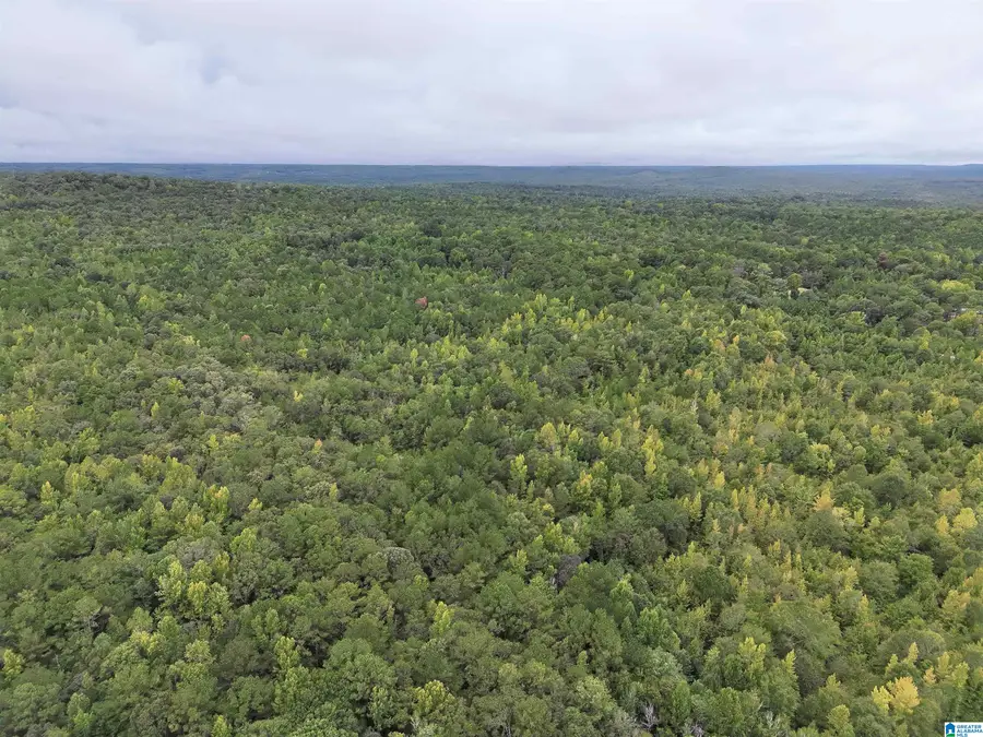 0 SCROGGINS DRIVE, Tallassee, AL 36078 - #2