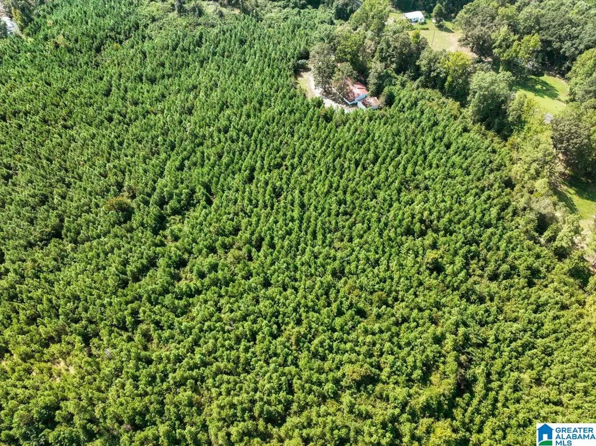0 HIGHWAY 195, Jasper, AL 35503 - #1