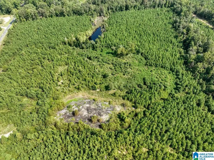 0 HIGHWAY 195, Jasper, AL 35503 - #3