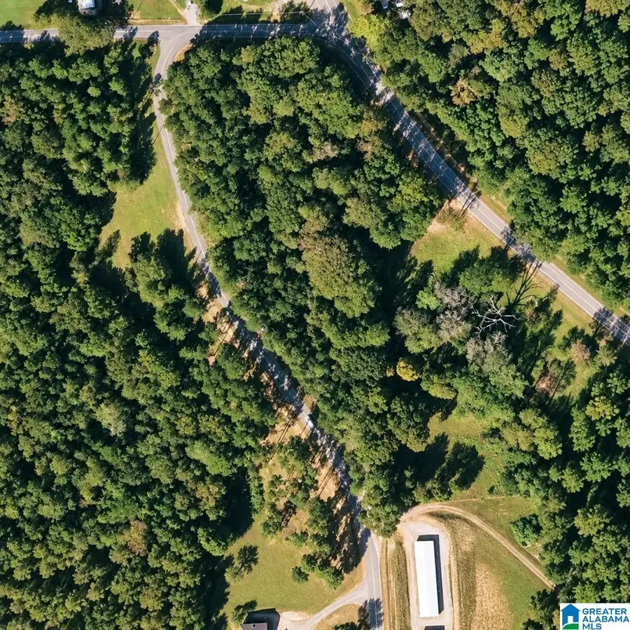 0 ISLAND ROAD, Titus, AL 36080 - #2