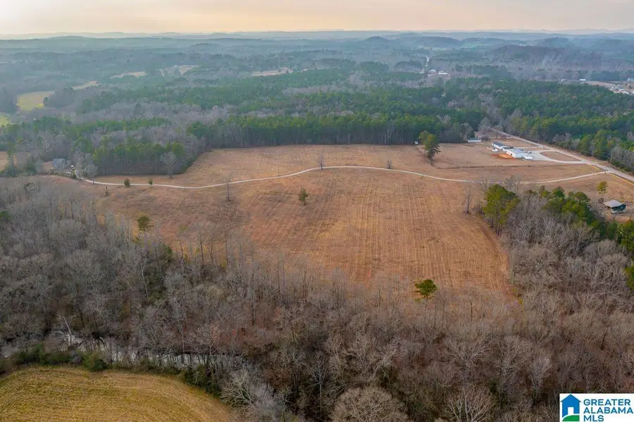 LOT 3 CEDAR SPRINGS DRIVE, Jacksonville, AL 36265 - #3