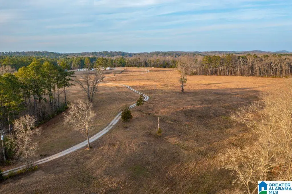 LOT 6 CEDAR SPRINGS DRIVE, Jacksonville, AL 36265 - #1