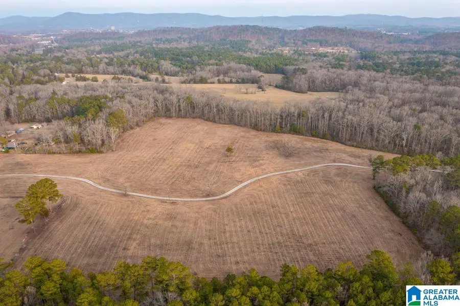 LOT 6 CEDAR SPRINGS DRIVE, Jacksonville, AL 36265 - #2