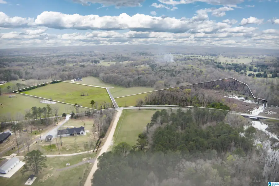 810 COUNTY ROAD 24, Alabaster, AL 35007 - #3
