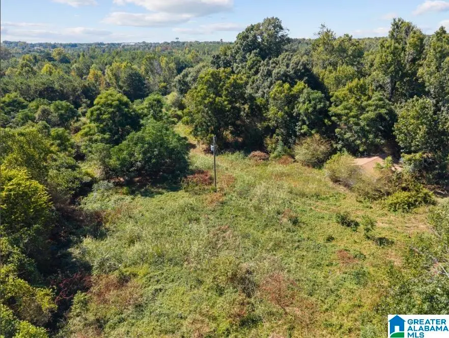 2257 PINEDALE ROAD, Clanton, AL 35046 - #3