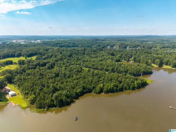 0 SEDDON SHORES DRIVE, Pell city, AL 35128