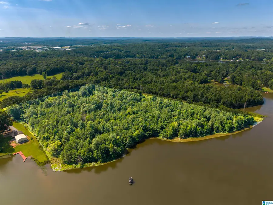 0 SEDDON SHORES DRIVE, Pell City, AL 35128 - #2