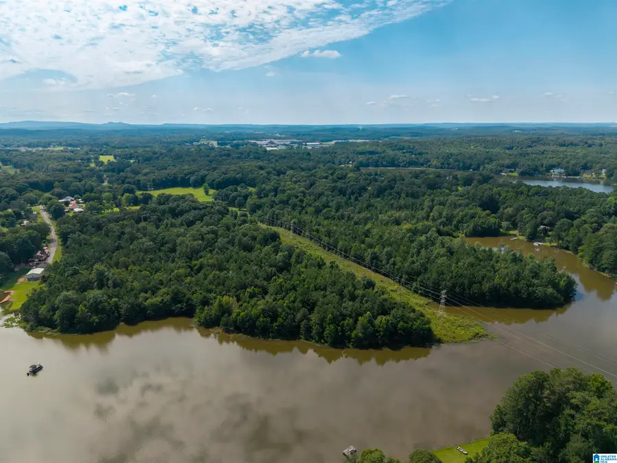 0 SEDDON SHORES DRIVE, Pell City, AL 35128 - #3