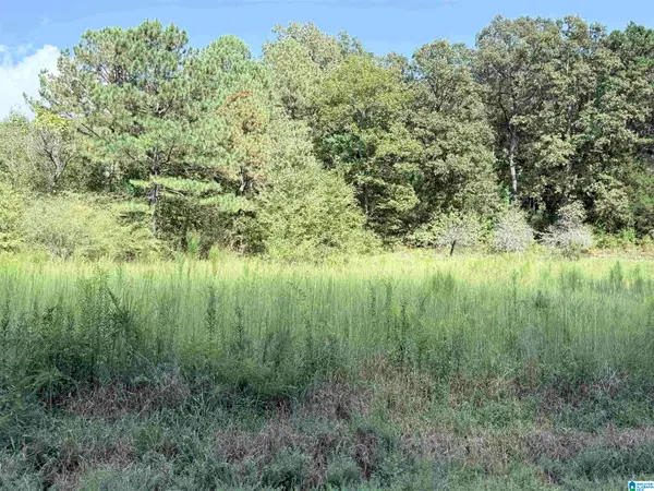 7 STONE RIDGE TRAIL S, Anniston, AL 36207