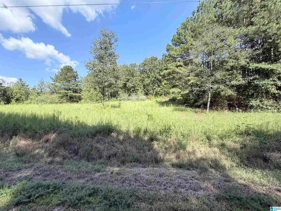 7 STONE RIDGE TRAIL S, Anniston, AL 36207 - #2