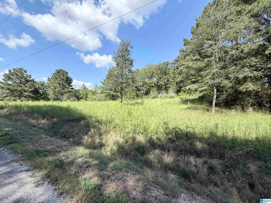 7 STONE RIDGE TRAIL S, Anniston, AL 36207 - #3