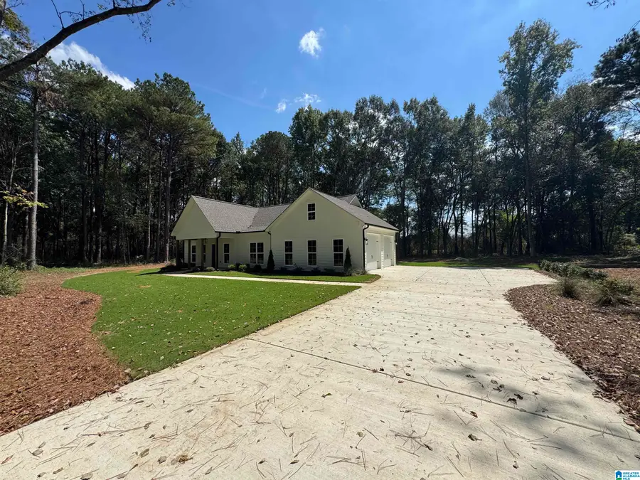 30316 HIGHWAY 25, Wilsonville, AL 35186 - #3