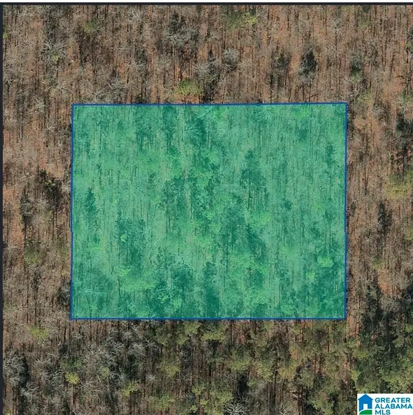 0 JONES ROAD, Alpine, AL 35014
