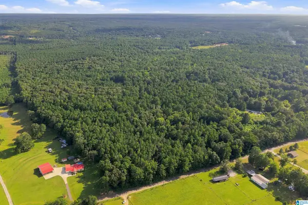 0 COUNTY ROAD 128, Jemison, AL 35085