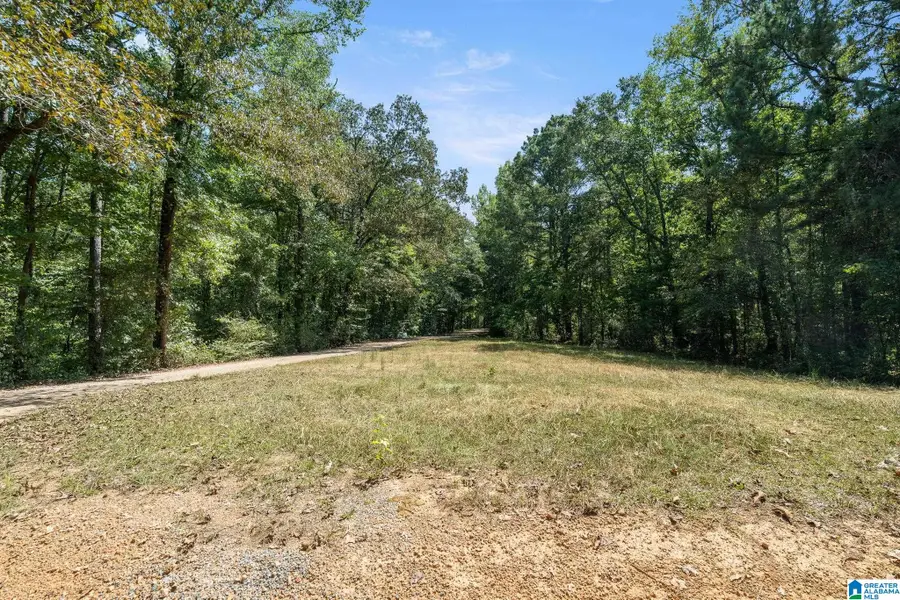 0 GARDNER DRIVE, Chelsea, AL 35043 - #3