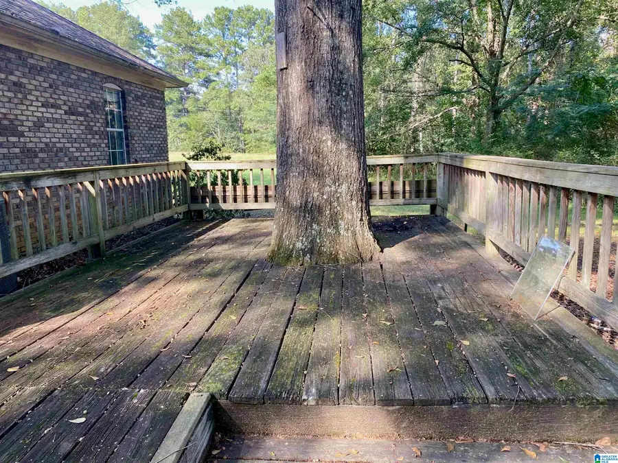 51 LANDINGS LANE, Wilsonville, AL 35186 - #2