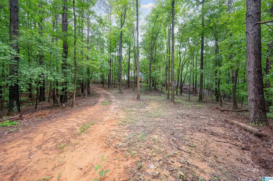 284 NICHOLS ROAD, Chelsea, AL 35043 - #3