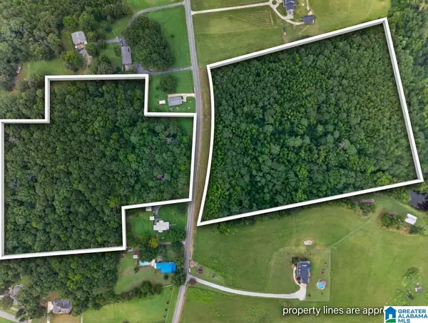 0 PLEASANT VALLEY ROAD, Jacksonville, AL 36265