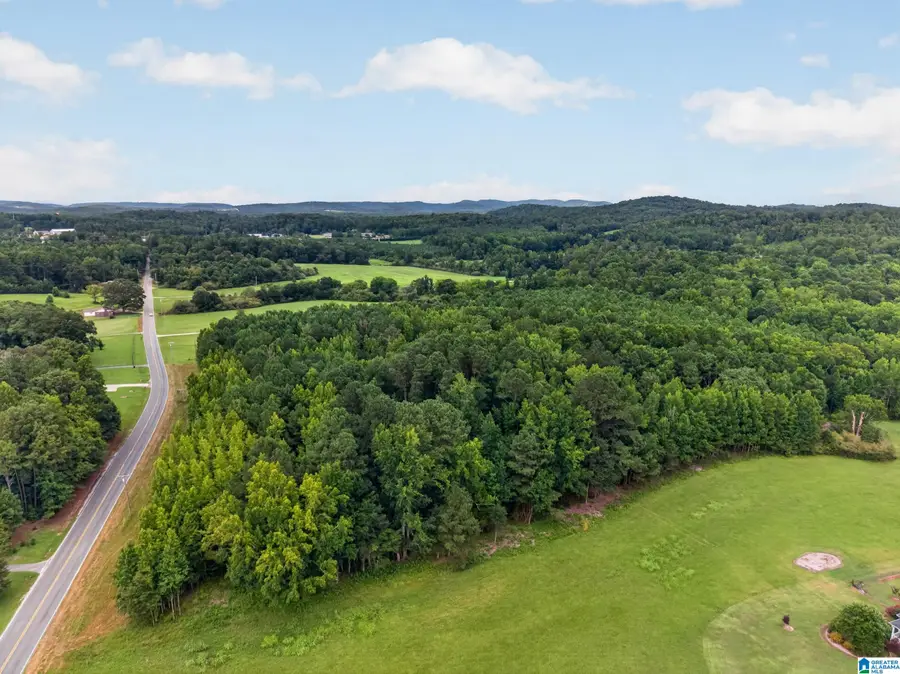 0 PLEASANT VALLEY ROAD, Jacksonville, AL 36265 - #3