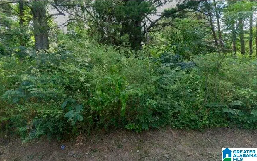 3319 SHORT AVENUE D, Bessemer, AL 35020 - #1
