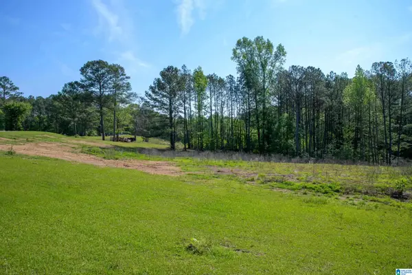 4240 GRIMES ROAD, Adger, AL 35006