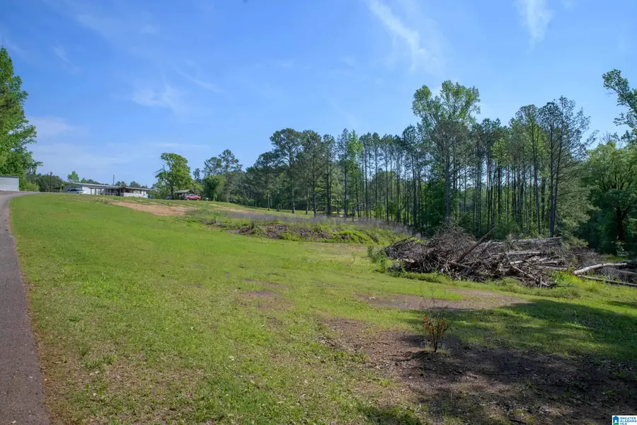 4240 GRIMES ROAD, Adger, AL 35006 - #2