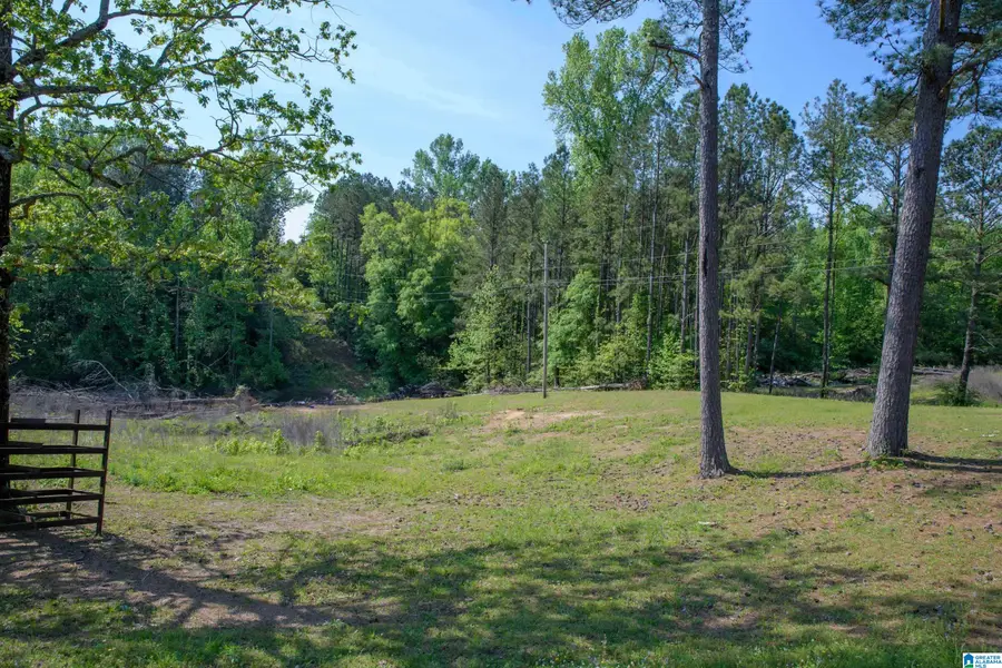 4240 GRIMES ROAD, Adger, AL 35006 - #3