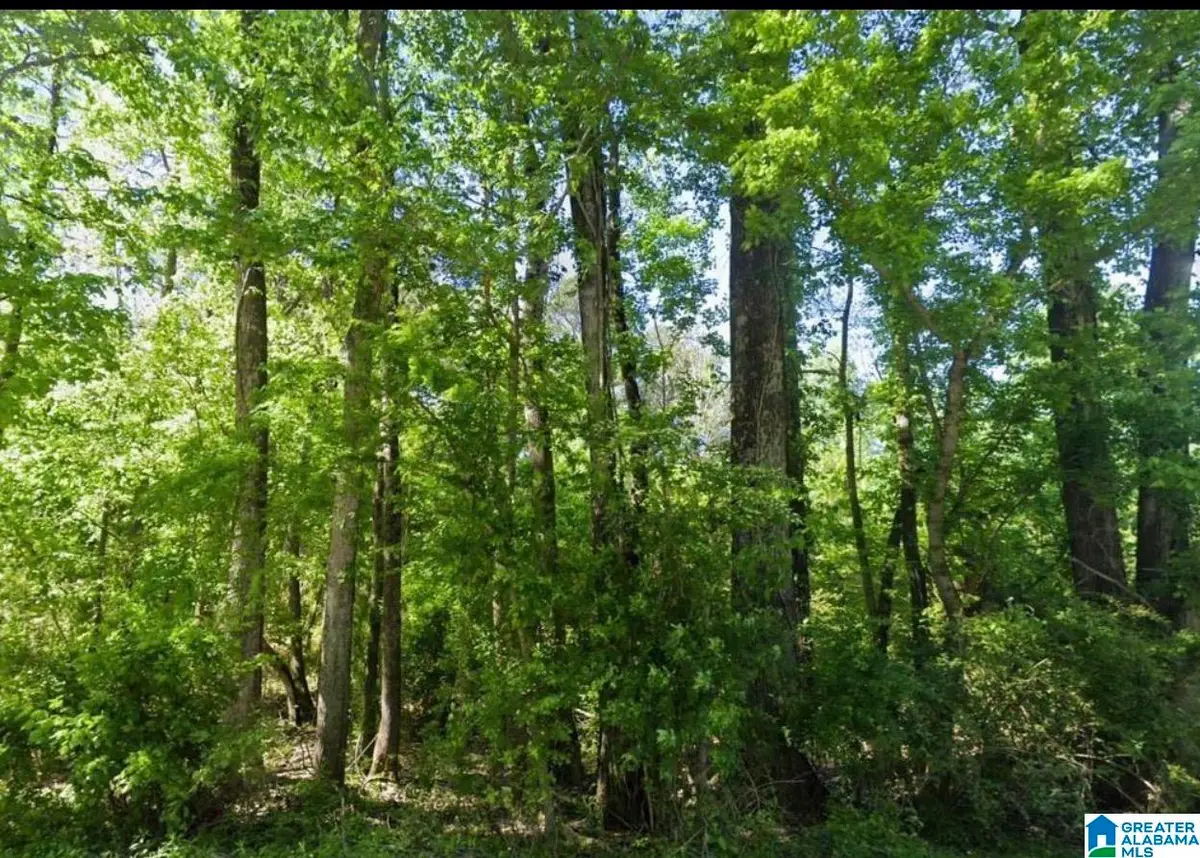 0 JONES ROAD, Talladega, AL 35160 - #1