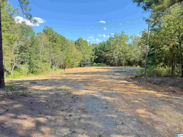 896 ROCKY RIDGE ROAD, Odenville, AL 35120