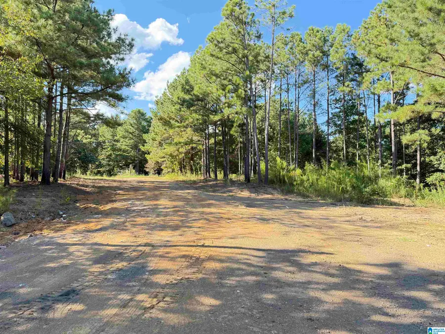 896 ROCKY RIDGE ROAD, Odenville, AL 35120 - #3
