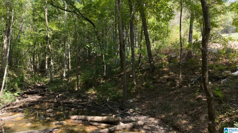 MAYS BEND DRIVE, Pell City, AL 35128 - #2