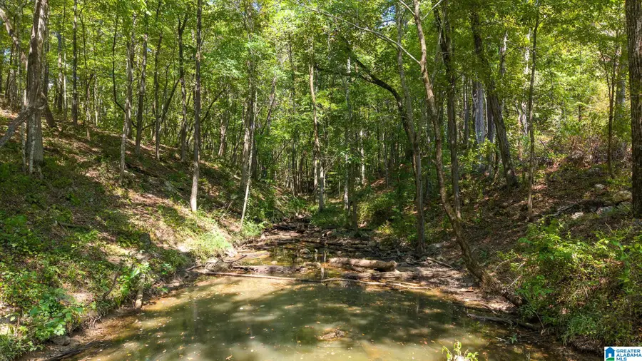 MAYS BEND DRIVE, Pell City, AL 35128 - #3