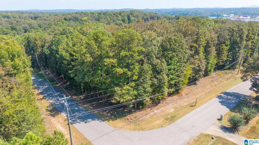 175 OSPREY DRIVE, Pell City, AL 35128 - #3