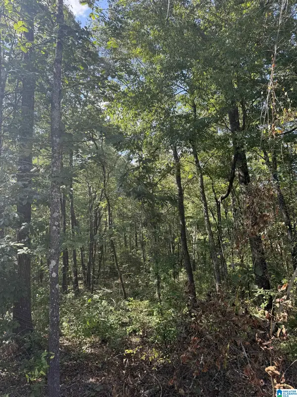 67 QUAIL COURT, Wilsonville, AL 35186