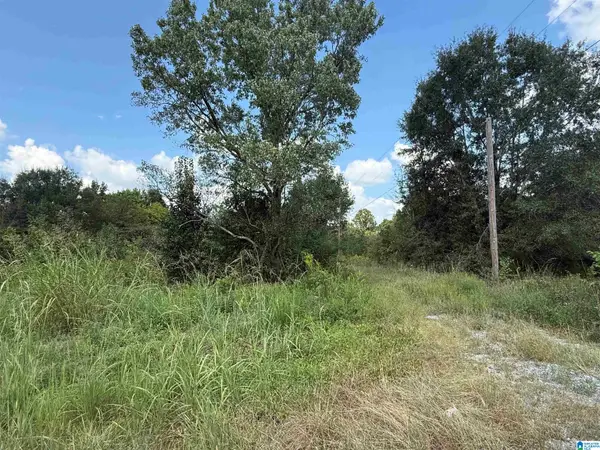 4.6 HIGHWAY 278, Cullman, AL 35055