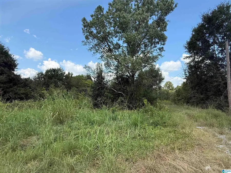 4.6 HIGHWAY 278, Cullman, AL 35055 - #2