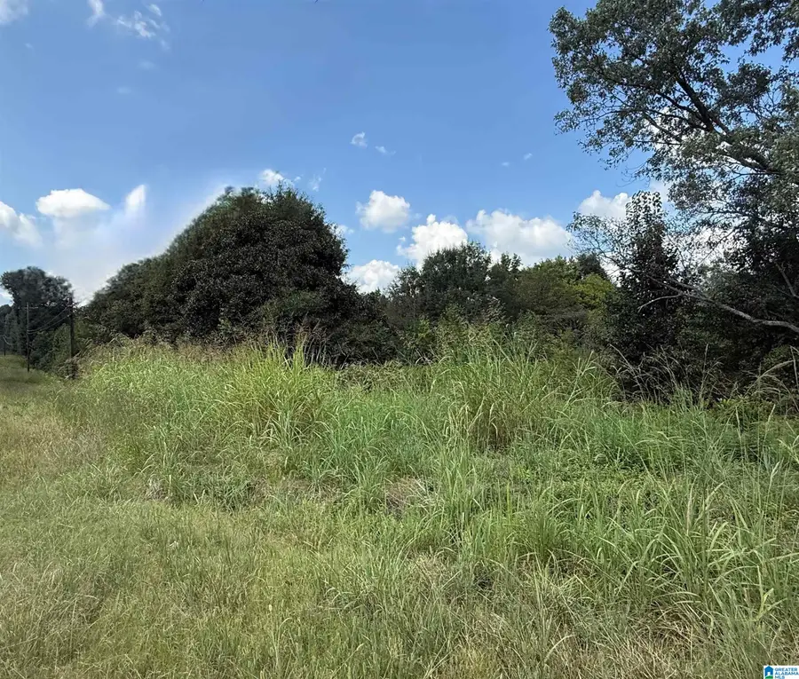 4.6 HIGHWAY 278, Cullman, AL 35055 - #3