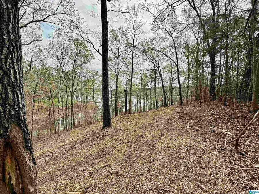 STILLWATERS TRAIL, Sylacauga, AL 35151 - #2