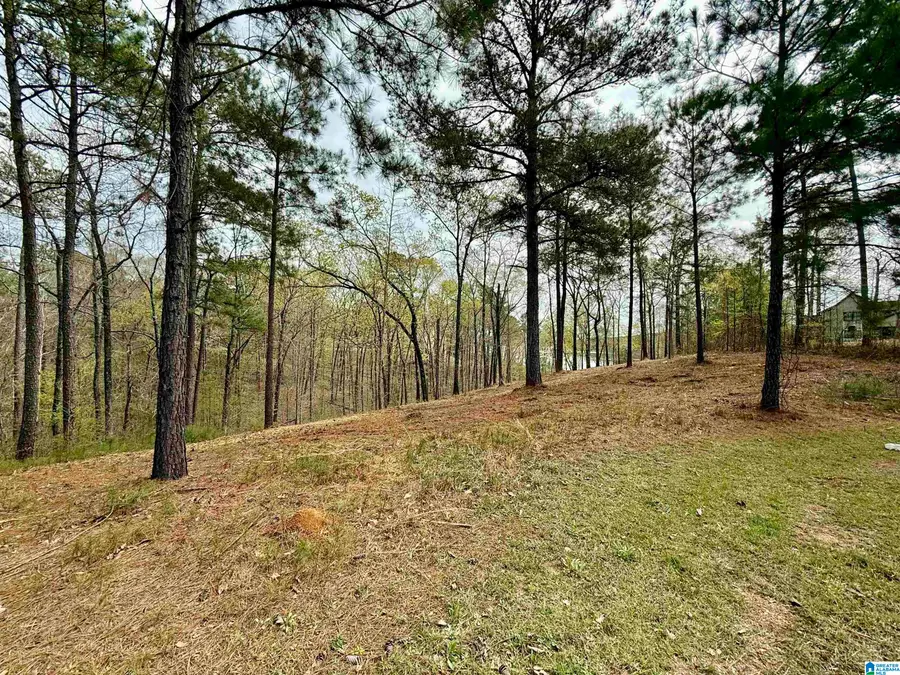 STILLWATERS TRAIL, Sylacauga, AL 35151 - #3