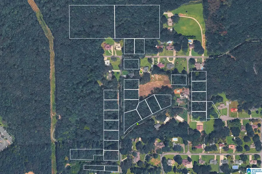 2 CALLAWAY DRIVE, Pell City, AL 35128 - #3