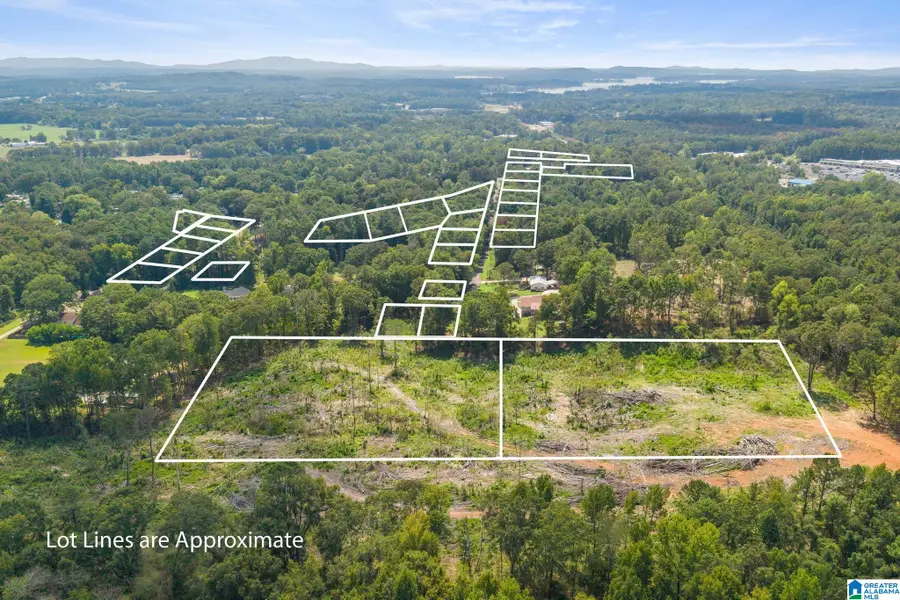25 RIDGEWAY ROAD, Pell City, AL 35128 - #3