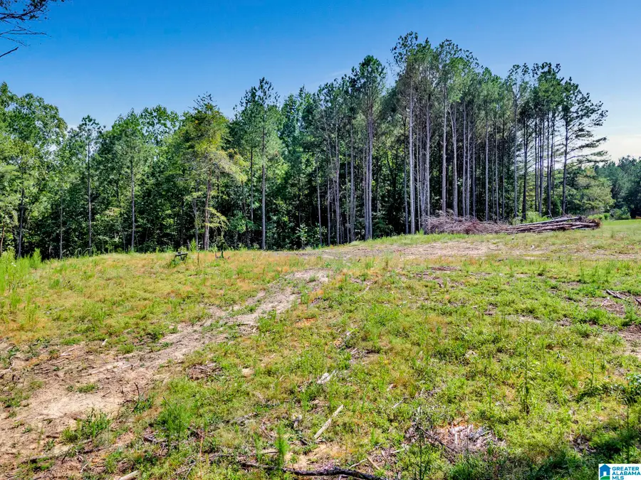 1111 TIM KING ROAD, Cleveland, AL 35049 - #2