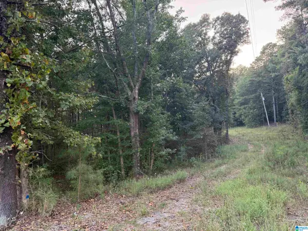 7195 LOU GEORGE LOOP, Bessemer, AL 35022