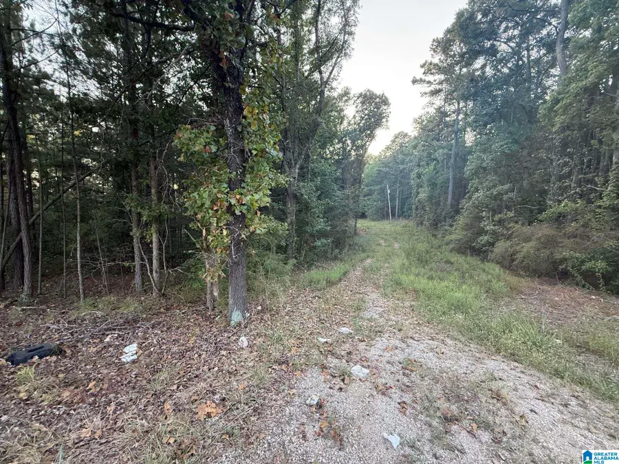 7195 LOU GEORGE LOOP, Bessemer, AL 35022 - #3